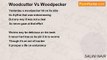 SALINI NAIR - Woodcutter Vs Woodpecker