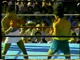 Wilfred Benitez vs Carlos Palomino (1979.01.14)