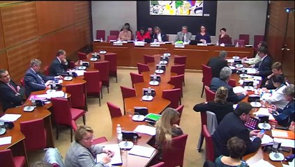 Intervention de Barbara Pompili sur les structures "adaptées" comme les SEGPA et les EREA à l'occasion de la présentation d'un rapport