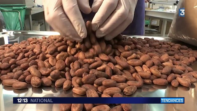 Les nombreuses vertus du chocolat cru