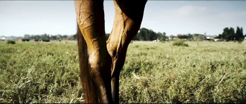 La Femme qui aimait les hommes Bande Annonce VF