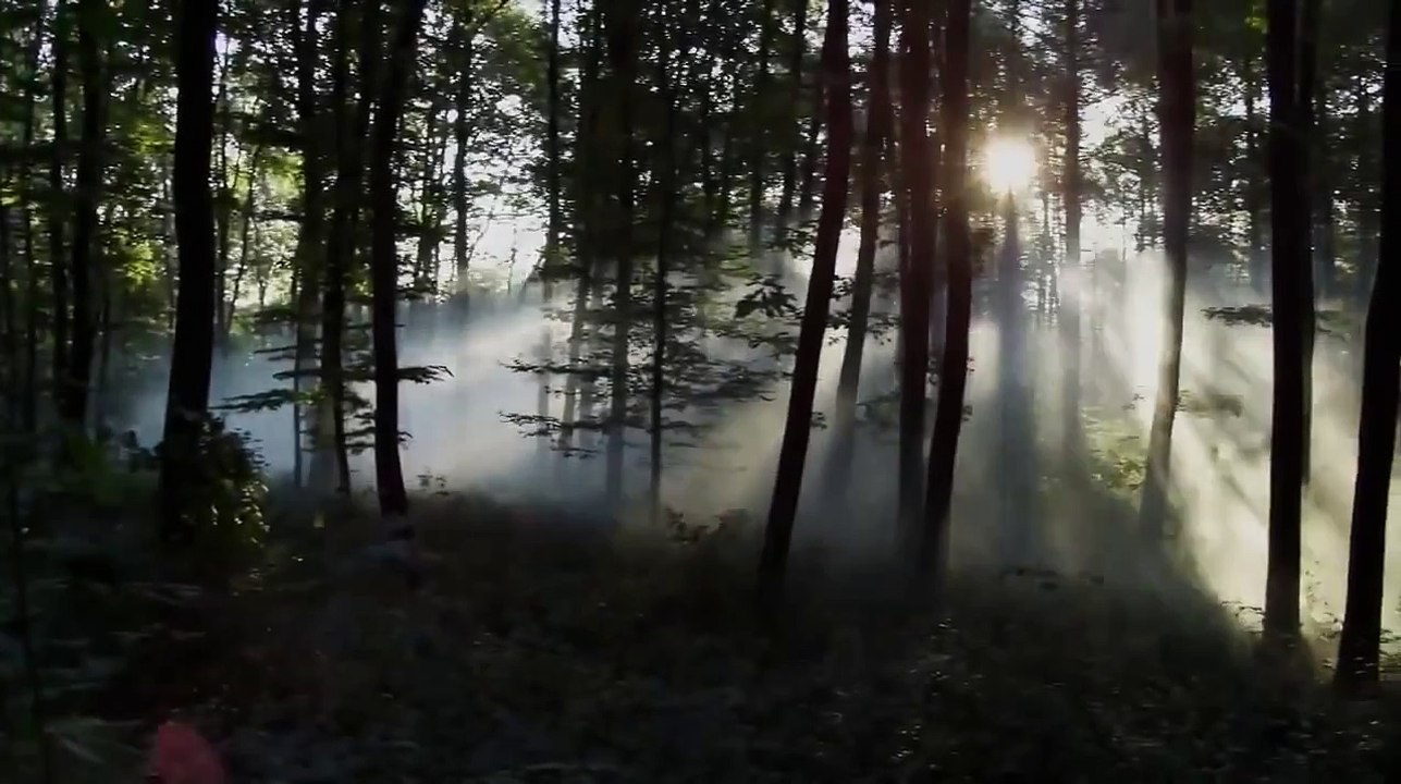 La Fantastique Histoire de Blanche Neige Bande Annonce (2012)