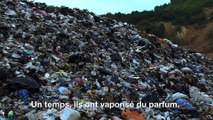 Polluting Paradise Bande Annonce (Documentaire - 2013)