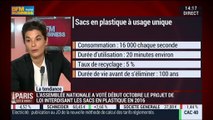La tendance du moment : Paris veut bannir les sacs plastiques d'ici 2015 - 29/10