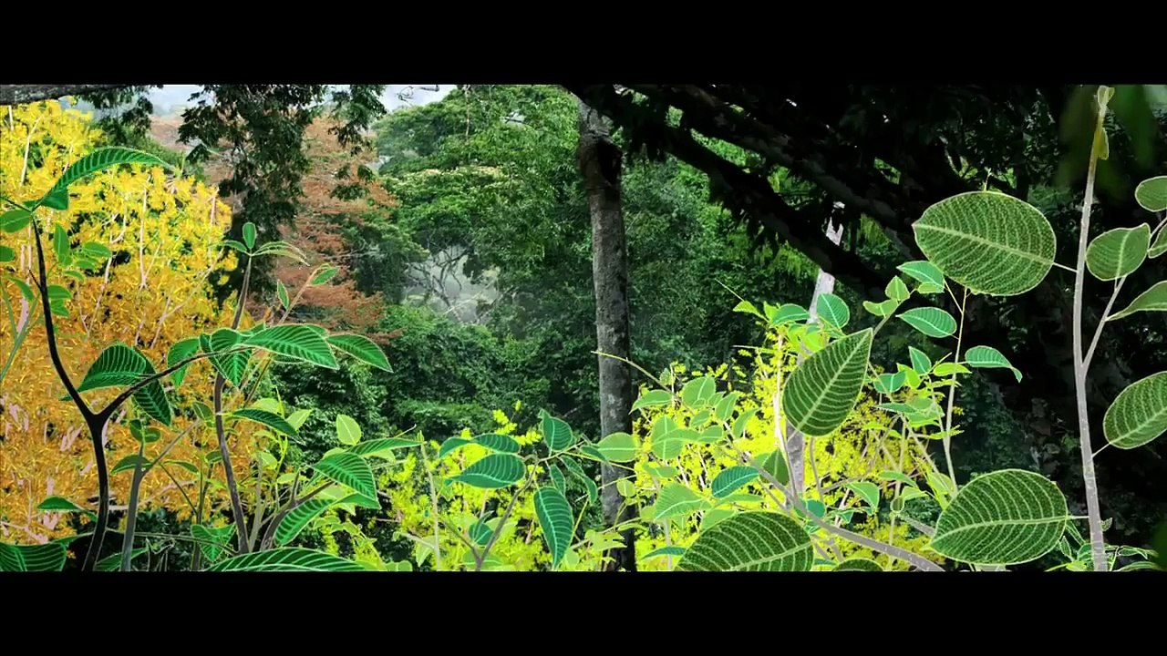 Il Était Une Forêt - Bande Annonce (2013)