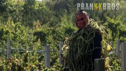 Killer Pumpkin Patch Halloween prank