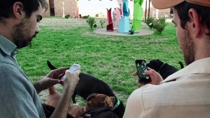 Can We Auto-Correct Humanity?