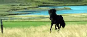 DES CHEVAUX ET DES HOMMES Bande Annonce (2014)