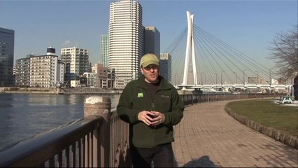 Top 10 ways I learned to live green while visiting Japan - Living Green in Atlanta GA