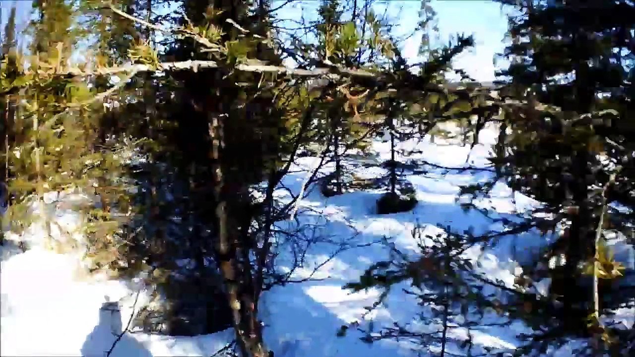 KTM 300 y KTM 380 adaptadas para la nieve