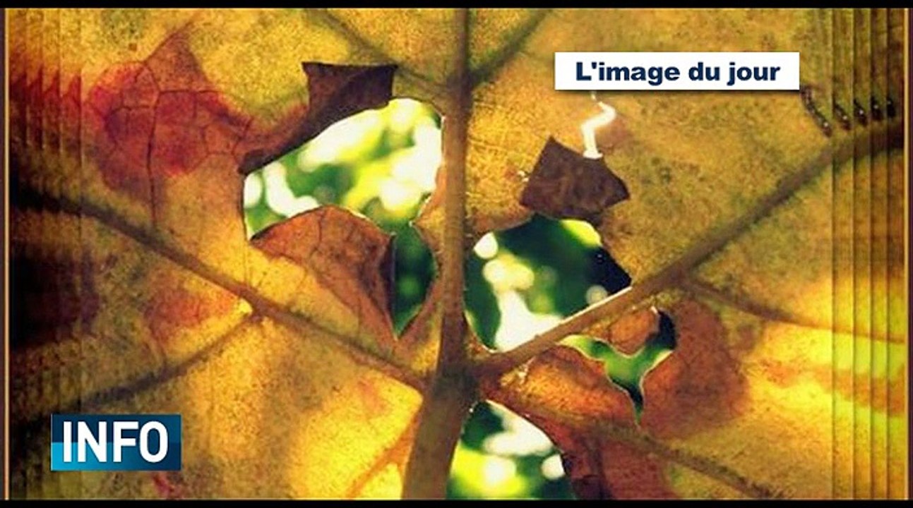 L'info du 29 octobre 2014