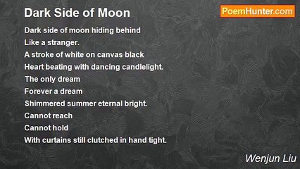 Wenjun Liu - Dark Side of Moon