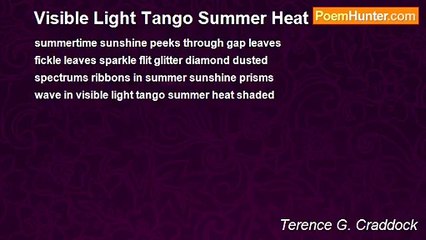 Terence G. Craddock (afterglows echoes of starlight) - Visible Light Tango Summer Heat Shaded