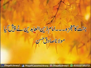 Jannat Ka Mojiza-Imam zain ul abideen nay paish kia | Moulana Sadiq Hasan