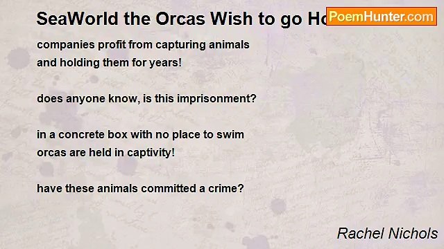 Rachel Nichols - SeaWorld the Orcas Wish to go Home!