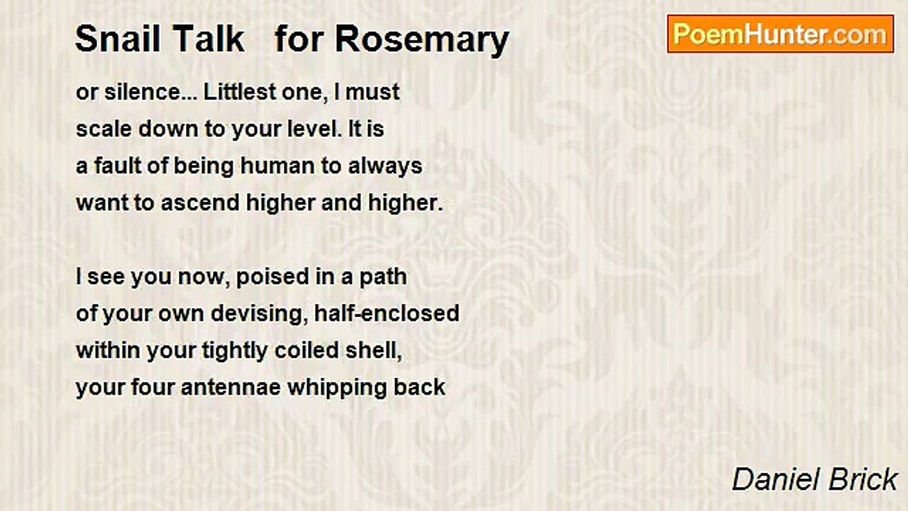 Daniel Brick - Snail Talk   for Rosemary