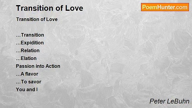 Peter LeBuhn - Transition of Love