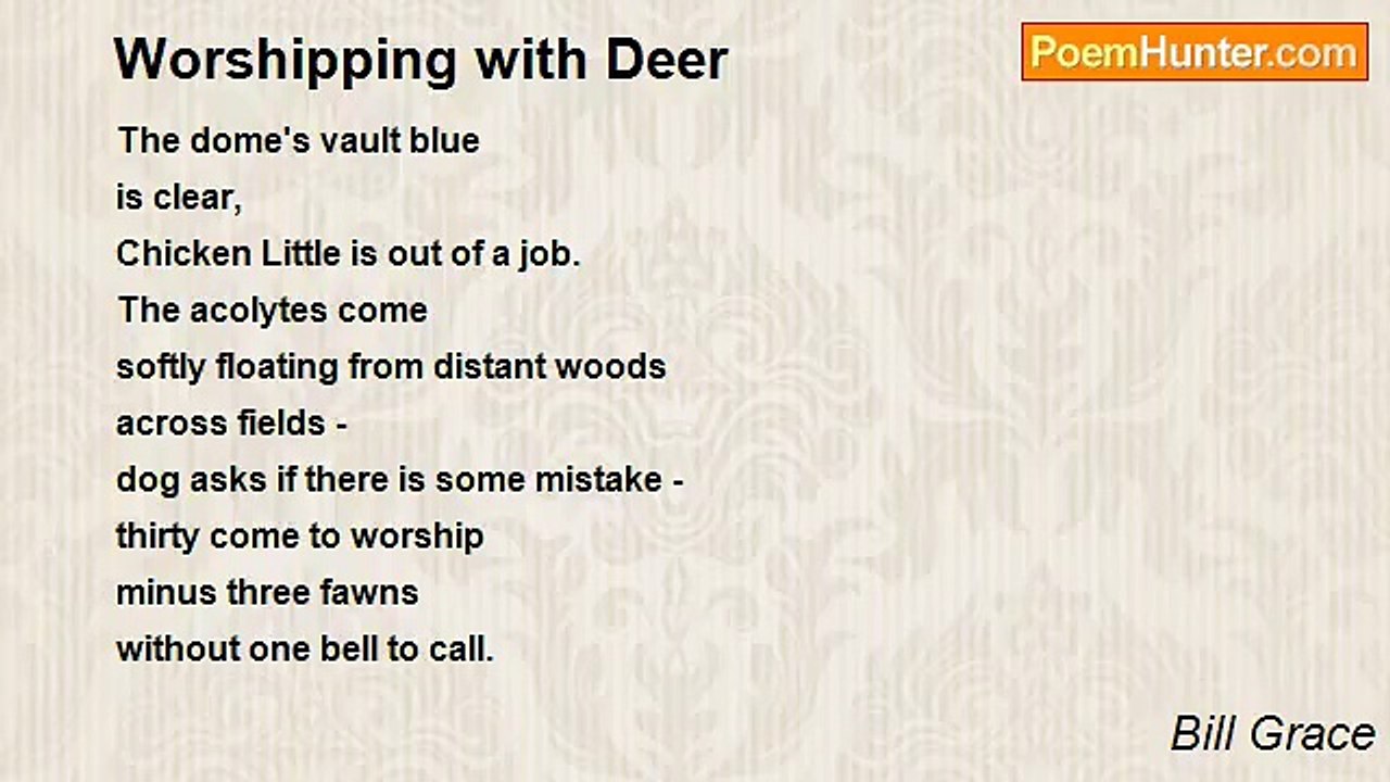 Bill Grace - Worshipping with Deer