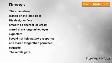 Birgitta Heikka - Decoys