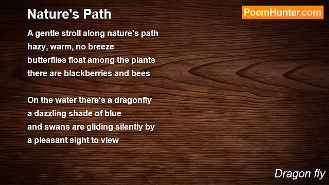 Dragon fly - Nature's Path