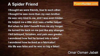 Omar Osman Jabak - A Spider Friend