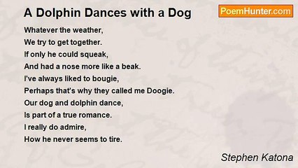 Stephen Katona - A Dolphin Dances with a Dog