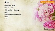 Sara Lenard - Soar