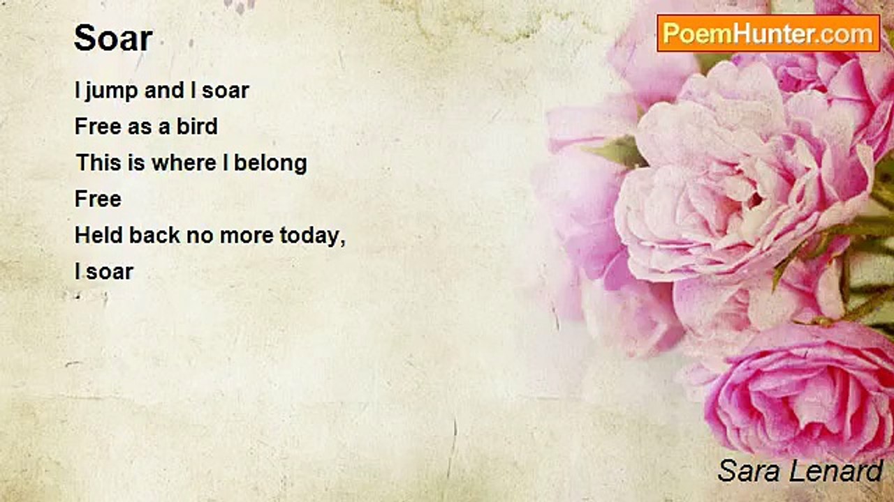 Sara Lenard - Soar