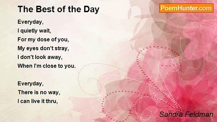 Sandra Feldman - The Best of the Day