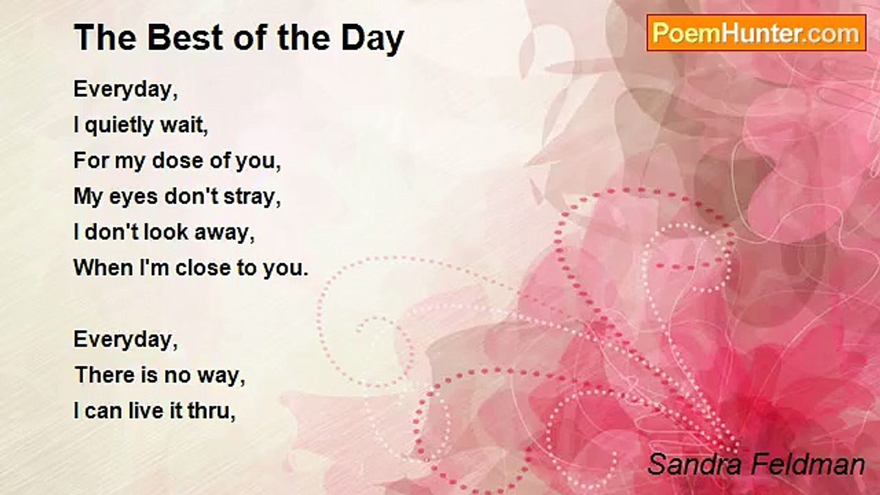 Sandra Feldman - The Best of the Day