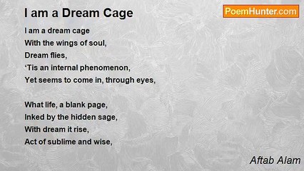 Aftab Alam - I am a Dream Cage
