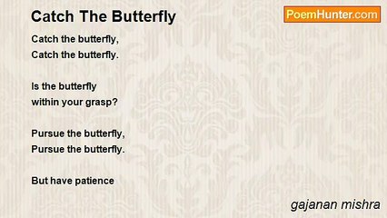 gajanan mishra - Catch The Butterfly