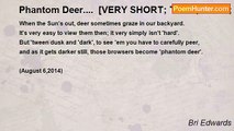 Bri Edwards - Phantom Deer....  [VERY SHORT; TRUE; vision; personal]