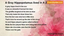 Midnights Voice - A Gray Hippopotamus lived In A Zoo