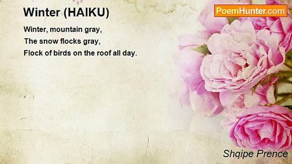 Shqipe Prence - Winter (HAIKU)
