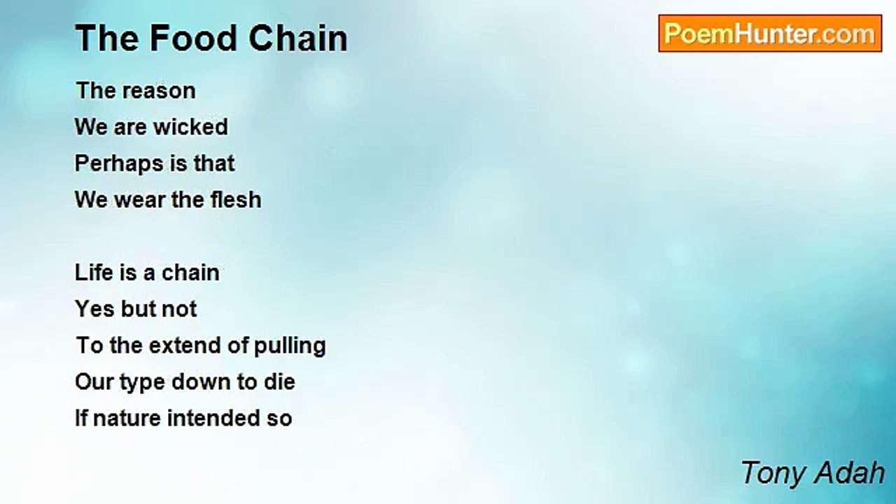 Tony Adah - The Food Chain