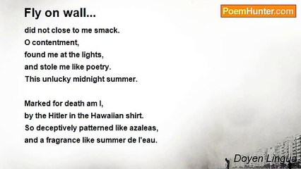 Doyen Lingua - Fly on wall...