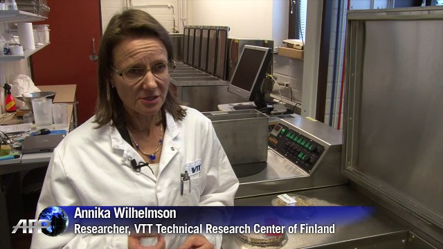 Brewer recreates old Belgian beer found in shipwreck