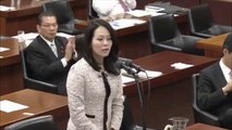 2014-10.29 杉田水脈(次世代の党) 衆議院経済産業委員会