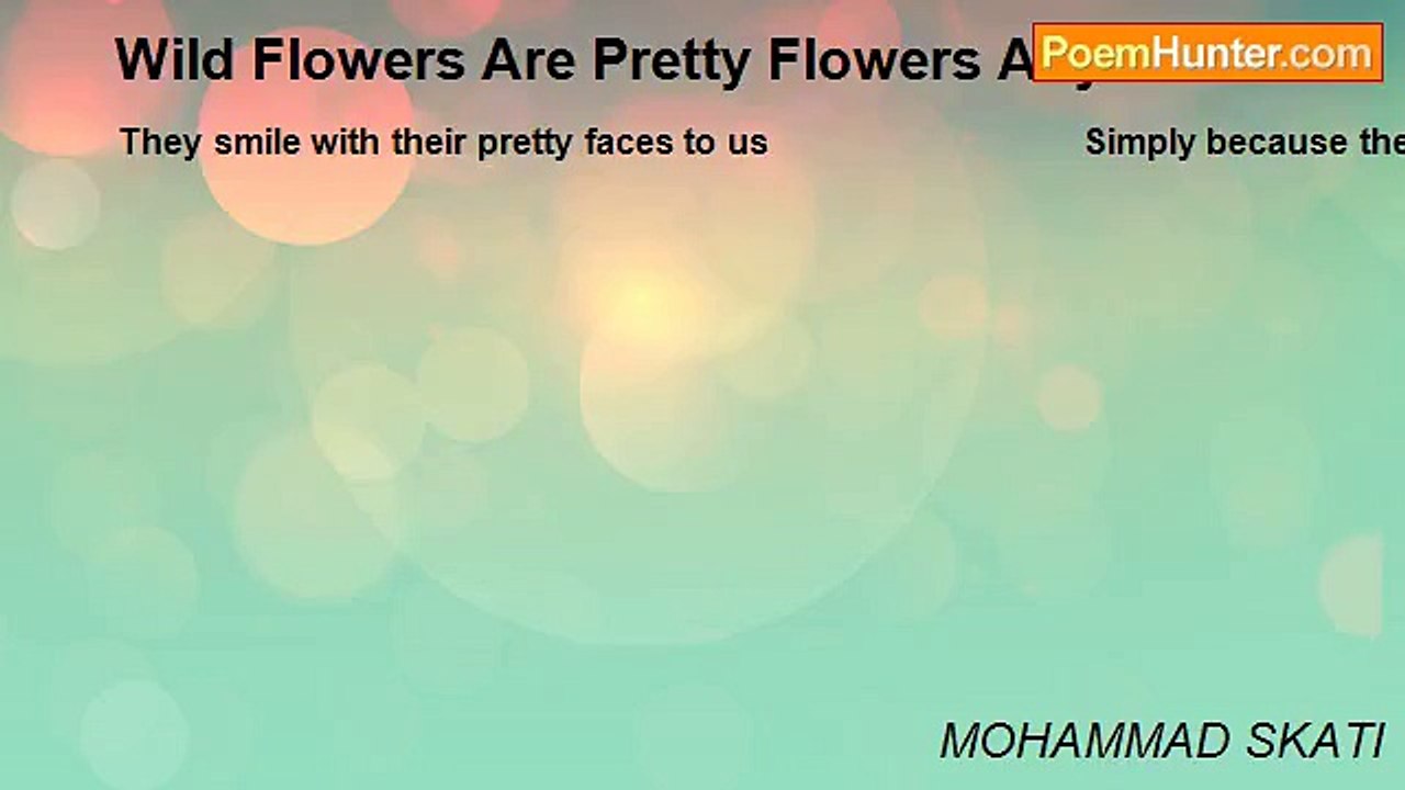 MOHAMMAD SKATI - Wild Flowers Are Pretty Flowers Anytime