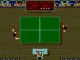 Ping Pong Masters '93 online multiplayer - arcade