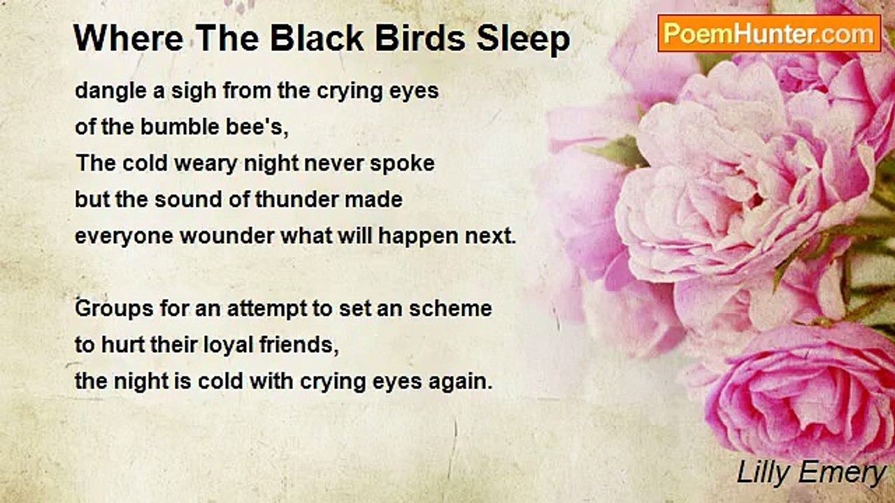 Poetic Lilly Emery - Where The Black Birds Sleep