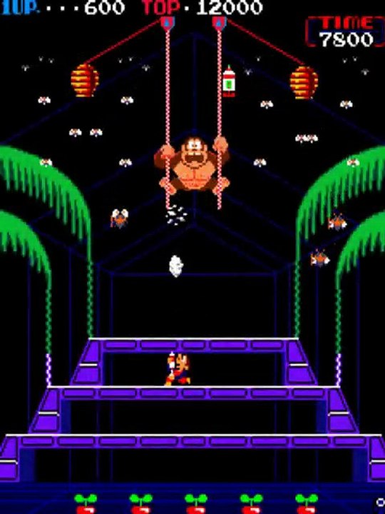 Donkey Kong 3 [Nintendo-Pak] online multiplayer - arcade