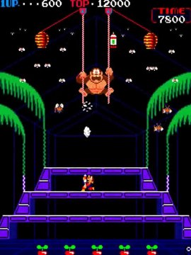 Donkey Kong 3 [Nintendo-Pak] online multiplayer - arcade