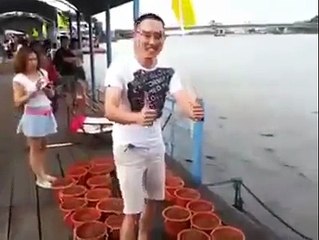 Crazy Fish Feeding!s