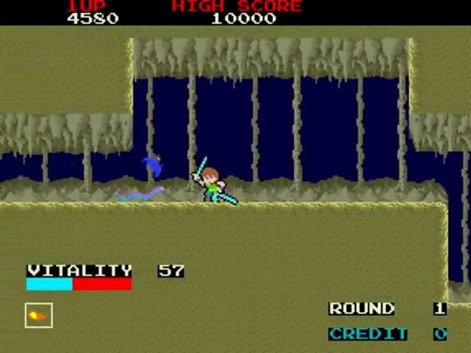 Dragon Buster online multiplayer - arcade