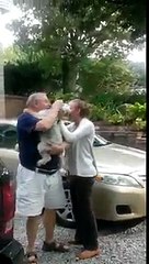 Dog passes out from overwhelming joy!