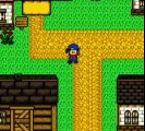 Harvest Moon 2 GBC online multiplayer - gbc