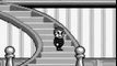 The Addams Family : Pugsley's Scavenger Hunt online multiplayer - gb
