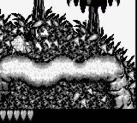 Donkey Kong Land online multiplayer - gb